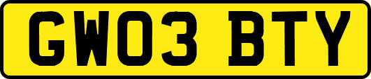 GW03BTY