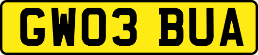 GW03BUA