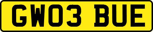 GW03BUE