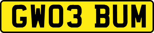 GW03BUM