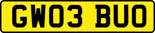 GW03BUO