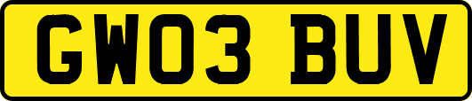 GW03BUV