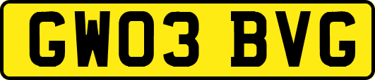GW03BVG