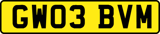 GW03BVM