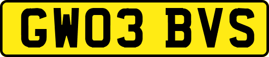 GW03BVS