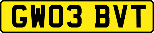 GW03BVT