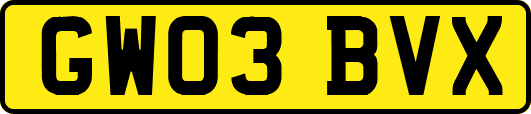 GW03BVX