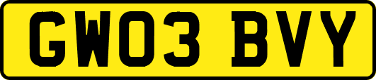 GW03BVY