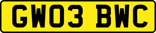 GW03BWC