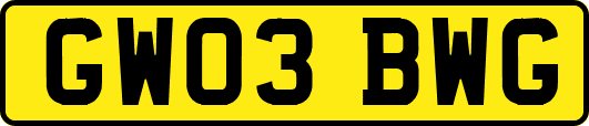 GW03BWG
