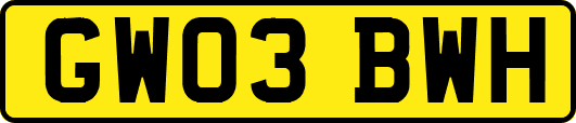 GW03BWH
