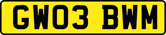 GW03BWM