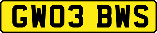 GW03BWS