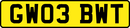 GW03BWT