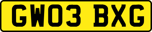 GW03BXG