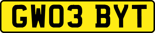 GW03BYT