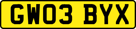 GW03BYX
