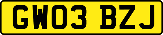 GW03BZJ