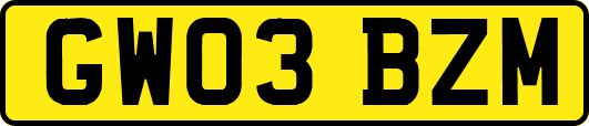 GW03BZM