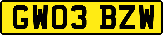 GW03BZW