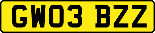 GW03BZZ