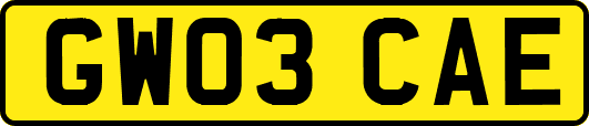 GW03CAE