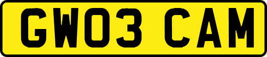 GW03CAM