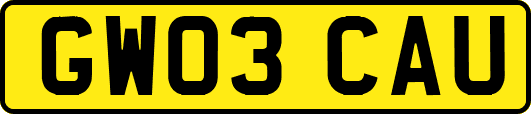 GW03CAU