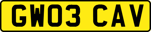 GW03CAV
