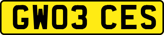 GW03CES