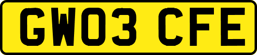 GW03CFE
