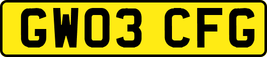 GW03CFG