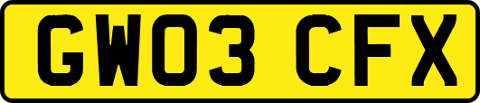 GW03CFX