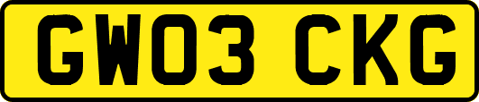 GW03CKG