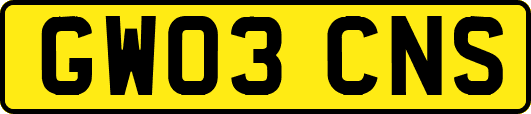 GW03CNS