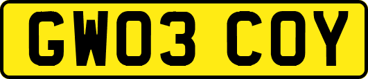 GW03COY