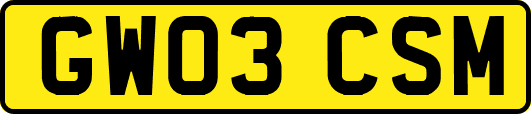 GW03CSM