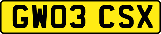 GW03CSX