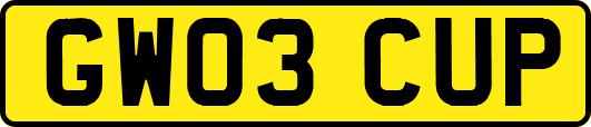 GW03CUP