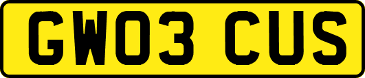GW03CUS