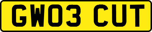 GW03CUT