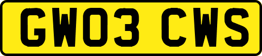 GW03CWS
