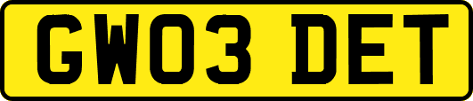 GW03DET