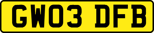 GW03DFB
