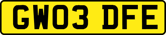 GW03DFE