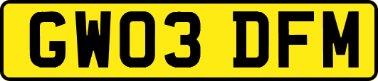 GW03DFM