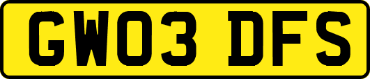 GW03DFS