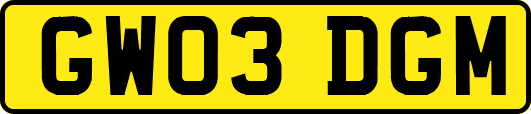 GW03DGM