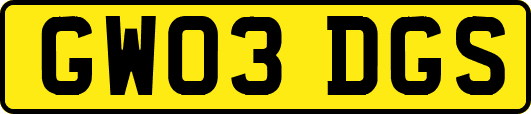 GW03DGS