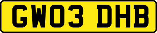 GW03DHB